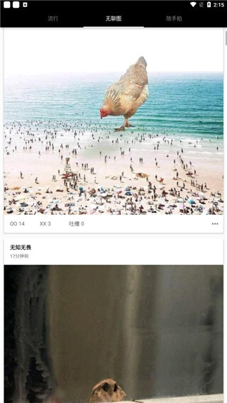 煎蛋图3