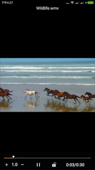 金狮播放器官方版图3