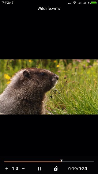 金狮播放器官方版图2