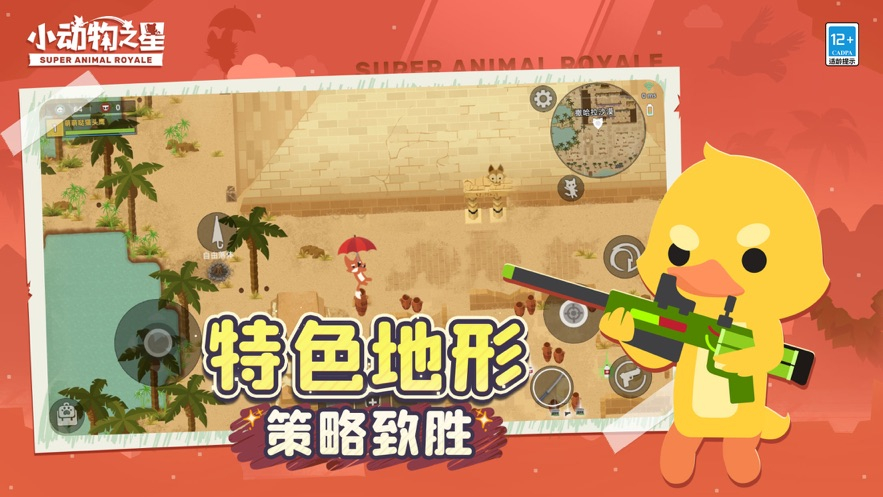 小动物之星国际服(2)