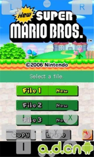 NDS模拟器截图3