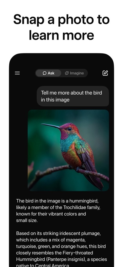 Grok免费AI女友图3