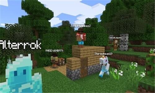 我的世界国际服图2