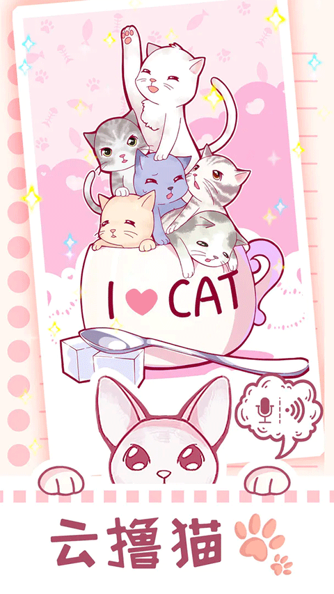 云撸猫咪(3)