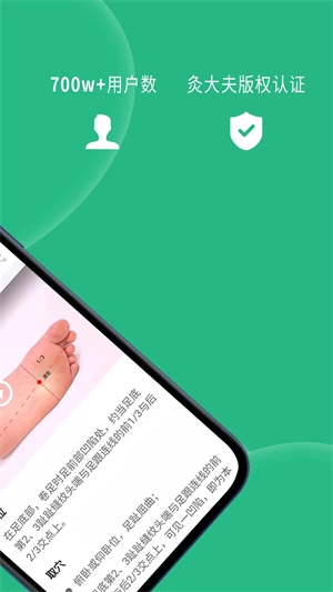 经络穴位图解  安卓版(2)