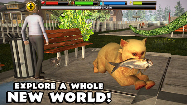 流浪猫模拟器中文版图1