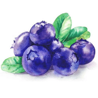 蓝莓影视免费版