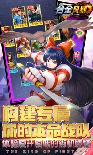 合金风暴安卓版(5)