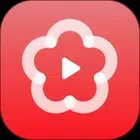 梅花视频最新版