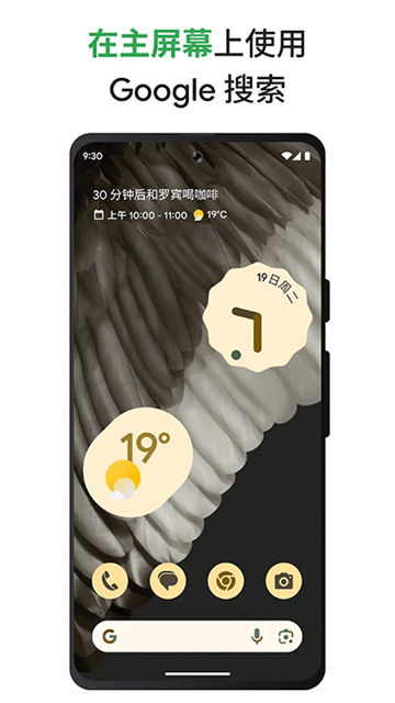 谷歌搜索app图4
