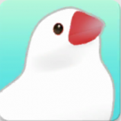 文鸟物语完整版