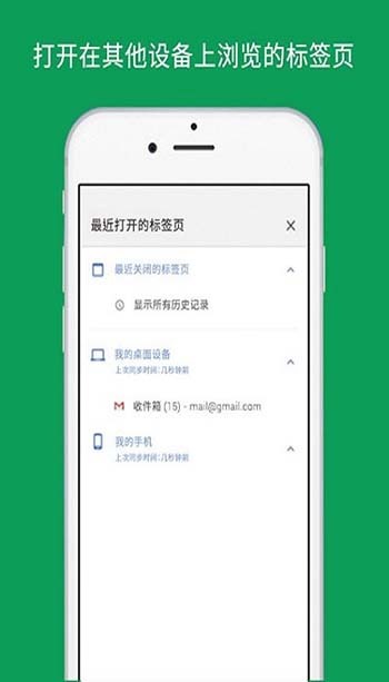 谷歌chrome浏览器安卓版图1