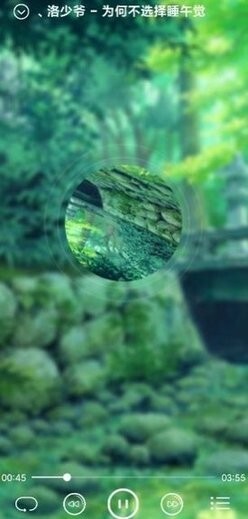 本地音乐播放器图3