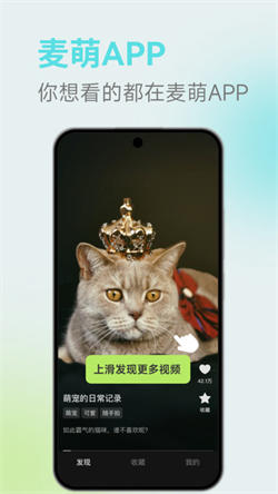 麦萌短剧app图2