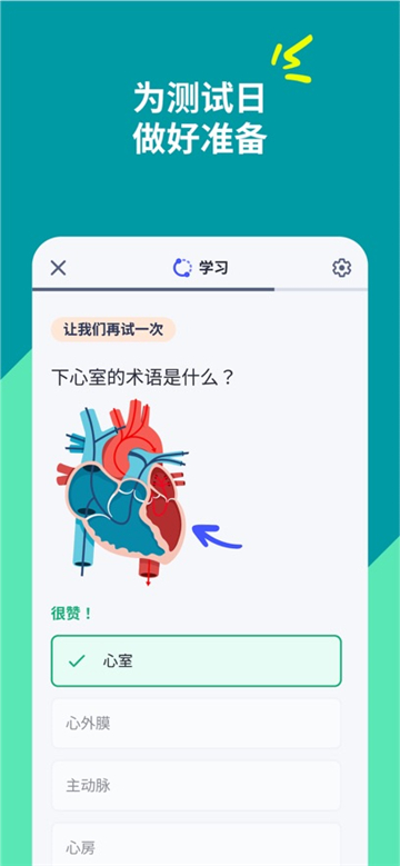 Quizlet安卓版图3
