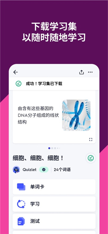 Quizlet安卓版图4
