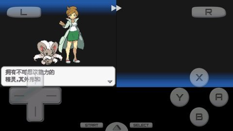 口袋妖怪白中文版金手指