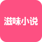 滋味小说安装包