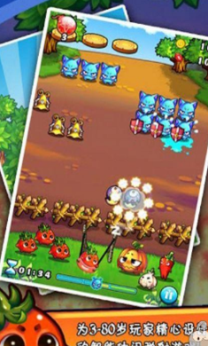 燃烧的蔬菜经典版(1)