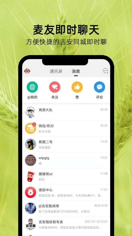 麦地网图2