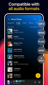 Muzio Player手机版图5