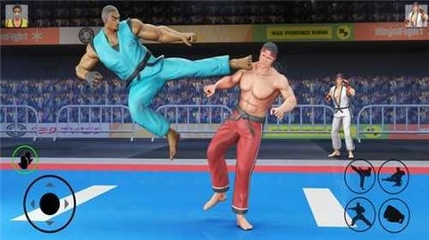 拳皇模拟器手机版(3)
