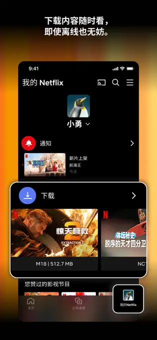 Netflix官方版图1