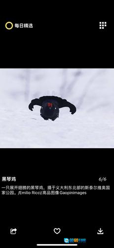 每日精选安卓版图5