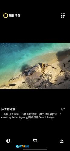 每日精选安卓版图7