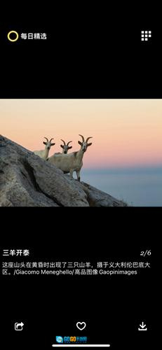 每日精选安卓版图2