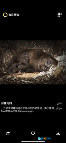 每日精选安卓版图3