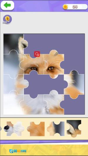 天天来拼图2图3