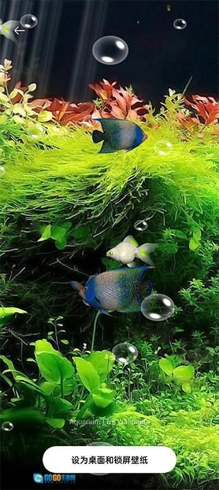 水族馆动态壁纸桌面屏保图3