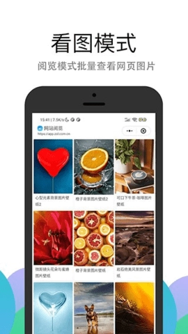 pp浏览器官方版(1)