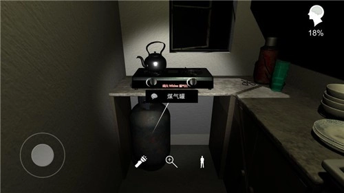 孙美琪疑案正版(4)