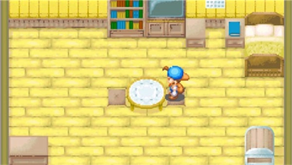 牧场物语矿石镇的伙伴们最新版(3)