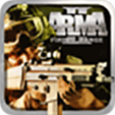 武装突袭2完整版