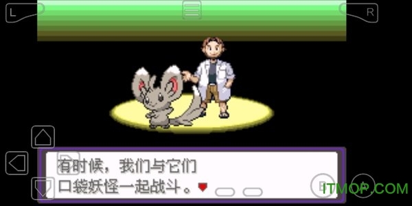 口袋妖怪永恒之炎汉化版(3)