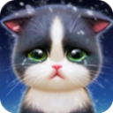 小猫爱消除手机版
