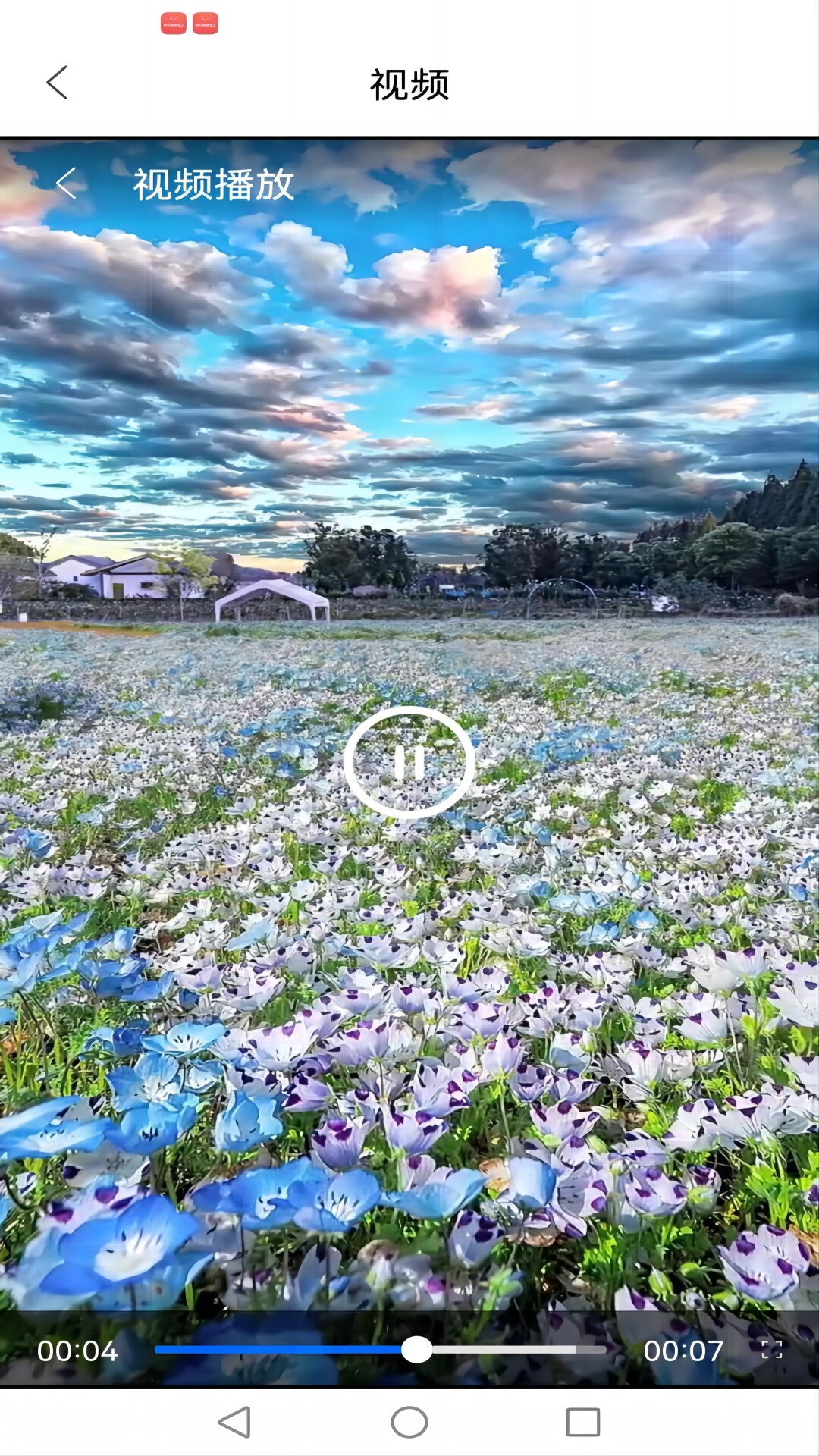 草柳视频免费版图2