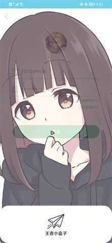 王者小盒子免费版图3