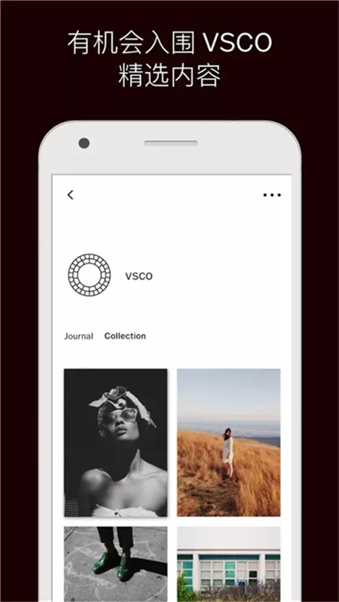 VSCO中文版图1