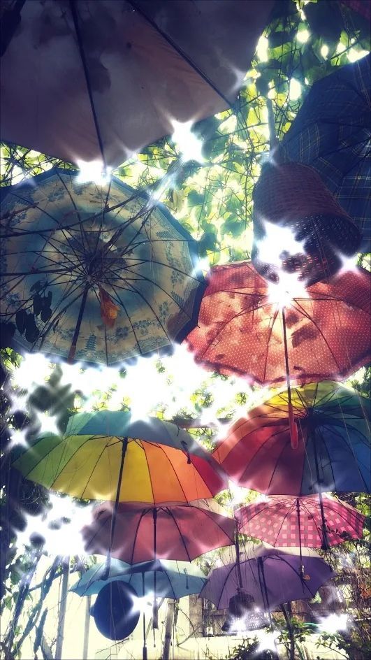 kiradroid安卓版(2)