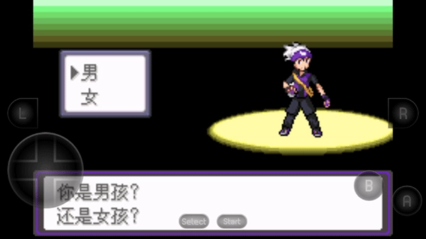 口袋妖怪漆黑的魅影安卓版(3)