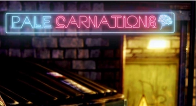 康乃馨俱乐部最新版(2)