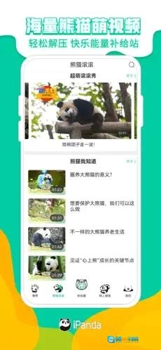 熊猫频道图4