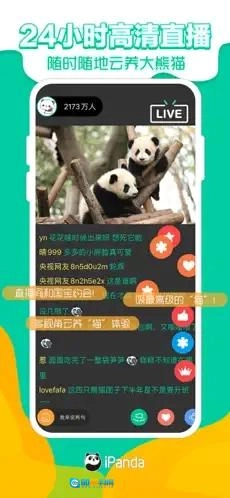 熊猫频道图2