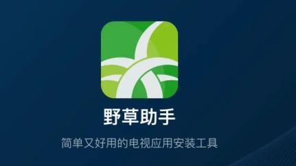野草助手