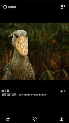 每日精选官方版图2