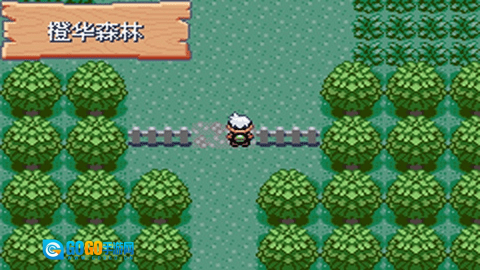 口袋妖怪火红金手指版图2